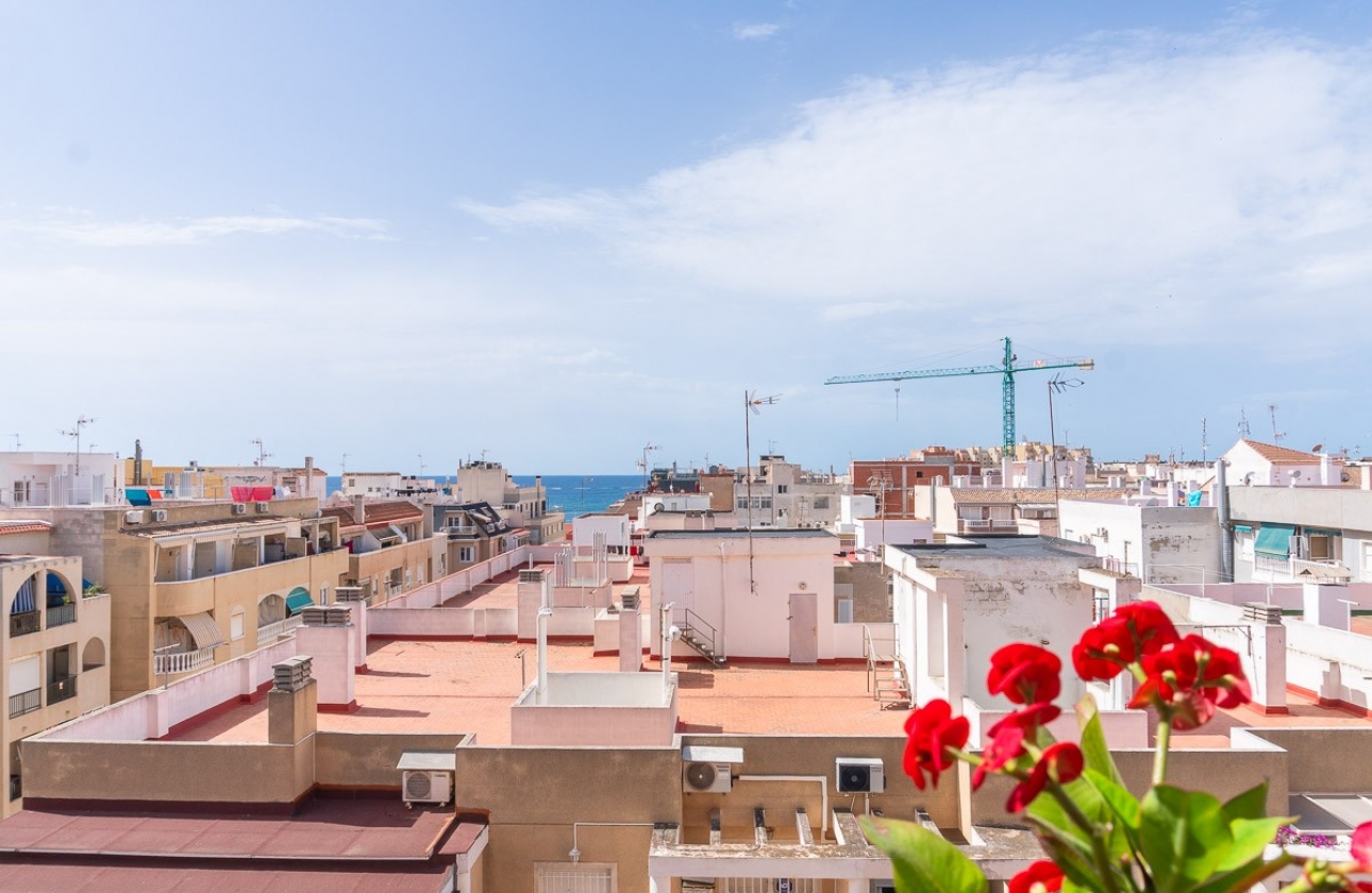 Rynek Wtórny - Apartament - Torrevieja - PLAYA LOS LOCOS