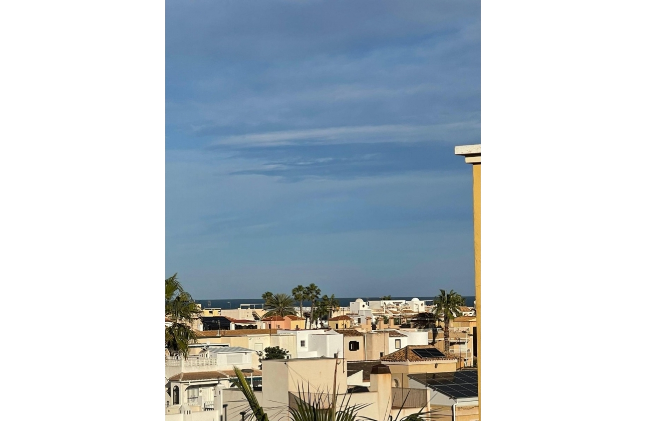 Rynek Wtórny - Apartament - Torrevieja - Torrevieja - Playa de los Locos