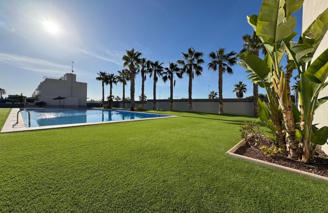 Rynek Wtórny - Bliźniak - Torrevieja - Nueva Torrevieja - Aguas Nuevas