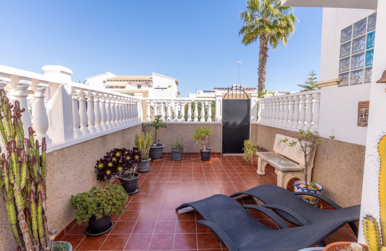 Rynek Wtórny - Bliźniak - Torrevieja - Punta prima