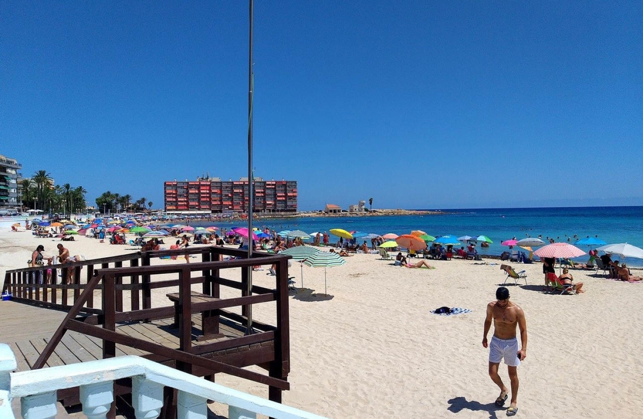 Rynek Wtórny - Studio - Torrevieja - Torrevieja - Playa de los Locos