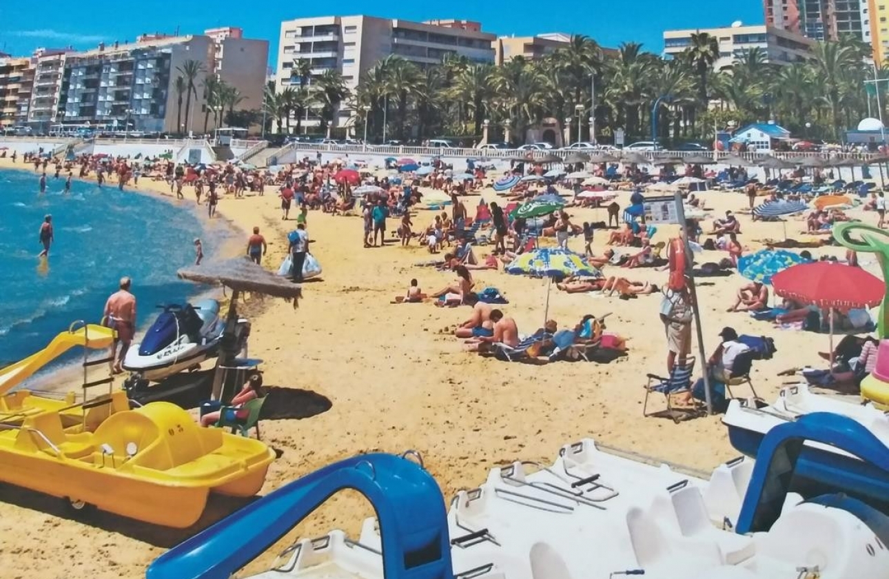 Rynek Wtórny - Studio - Torrevieja - Torrevieja - Playa de los Locos