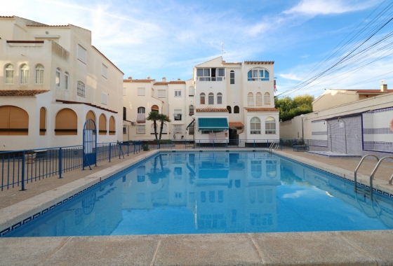Studio - Rynek Wtórny - Torrevieja - DOM - 6781