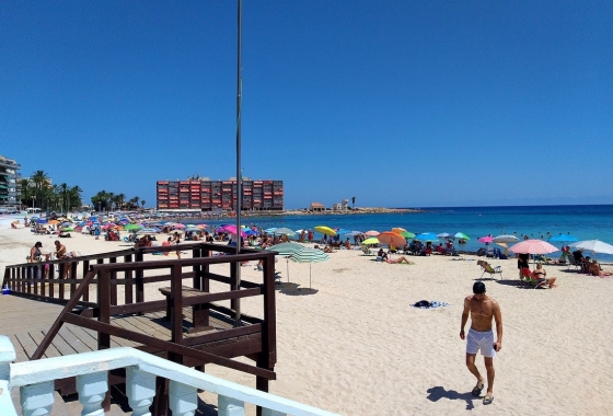 Studio - Rynek Wtórny - Torrevieja - Torrevieja - Playa de los Locos