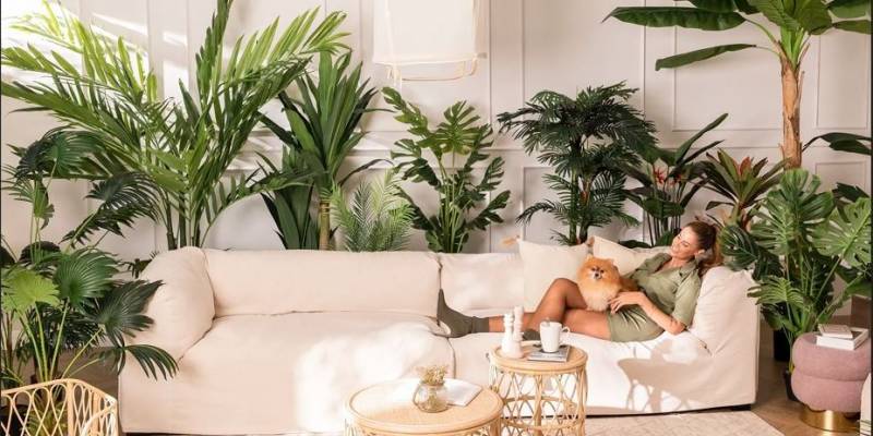 A green way to deal with moisture in your apartment