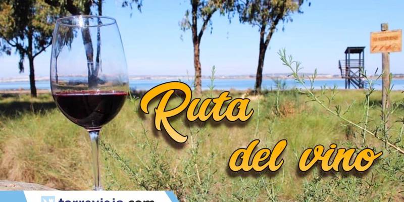 Wycieczka z degustacją wina w La Mata
