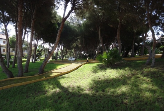 Reventa - Apartamento / piso - Torre de la Horadada