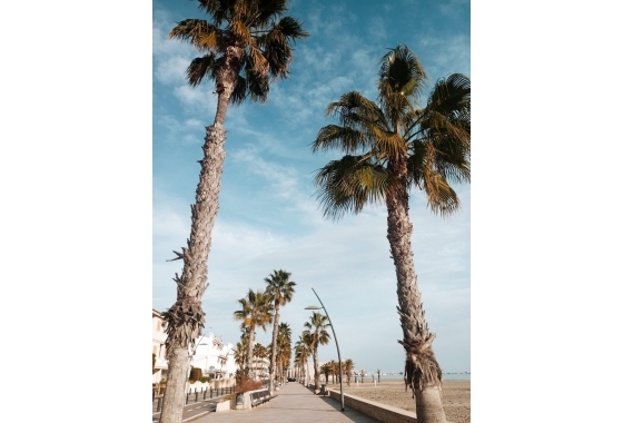 New Build - Apartment / flat - Santa Pola - Puerto