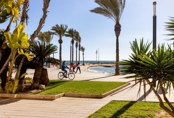 Resale - Apartment / flat - Torrevieja - Playa de los Locos