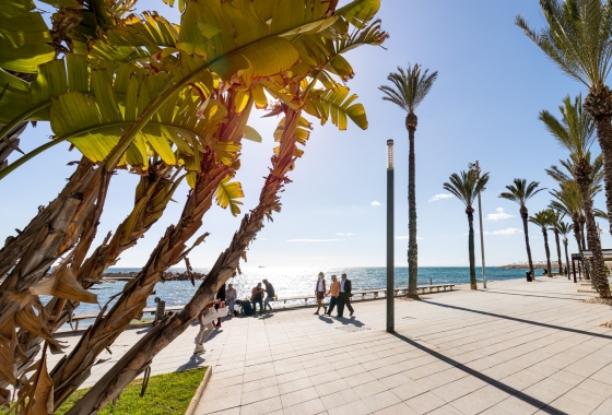 Resale - Apartment / flat - Torrevieja - Playa de los Locos