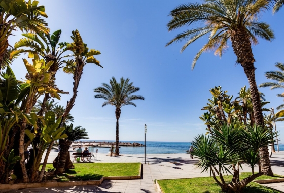 Resale - Apartment / flat - Torrevieja - PLAYA LOS LOCOS