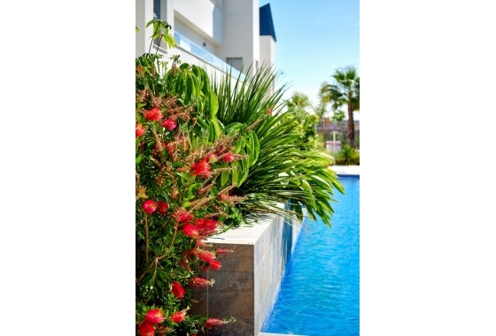 Resale - Apartment / flat - Torrevieja - La Veleta