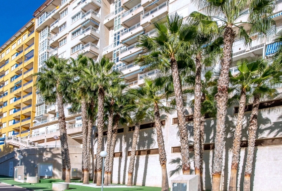 Resale - Apartment / flat - Orihuela Costa - Campoamor