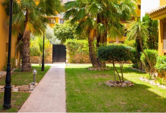 Resale - Penthouse - Punta Prima