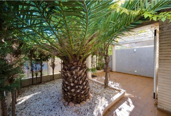 Resale - town house - Torrevieja - Torreblanca