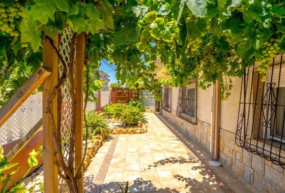 Rynek Wtórny - Bliźniak - Campoamor