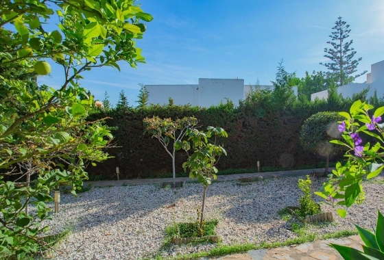 Resale - Villa - Torrevieja - LA MATA