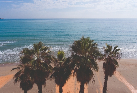 Deweloperskie - Apartament - Dehesa De Campoamor