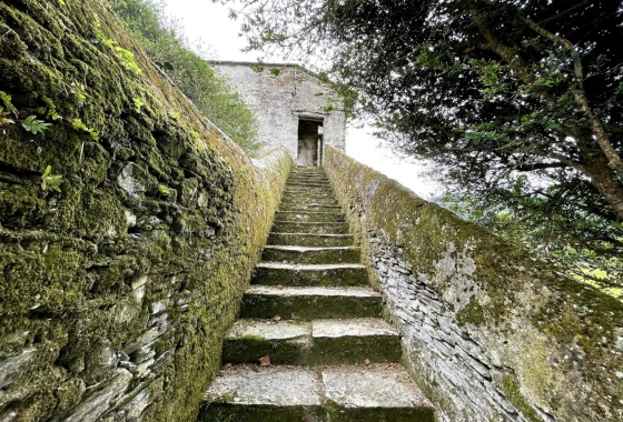 Reventa - Palacio - San Isidro