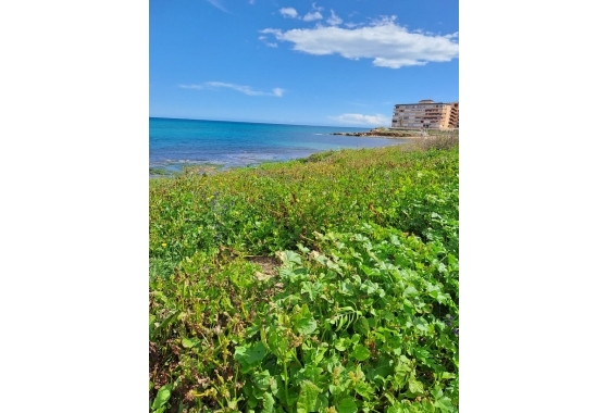 New Build - Apartment / flat - Torrevieja - Nueva Torrevieja - Aguas Nuevas