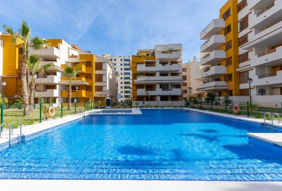 Reventa - Apartamento / piso - Punta Prima