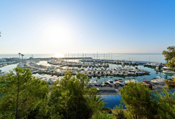 Resale - Apartment / flat - Alicante - Campoamor