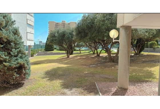 Resale - Apartment / flat - San Juan de Alicante