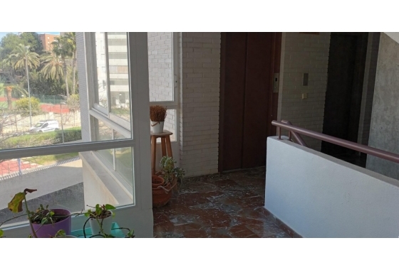 Resale - Apartment / flat - San Juan de Alicante