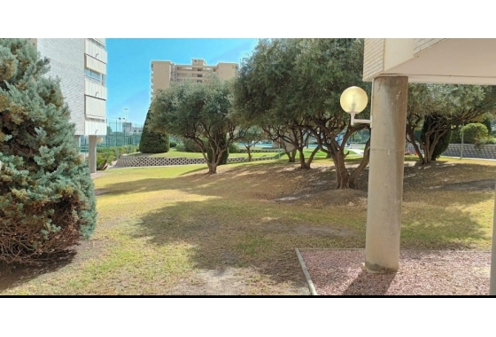Resale - Apartment / flat - San Juan de Alicante