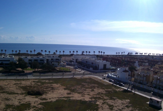 New Build - Bungalow - Pilar de la Horadada