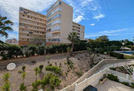 Resale - Studio - Torrevieja - Torre la mata