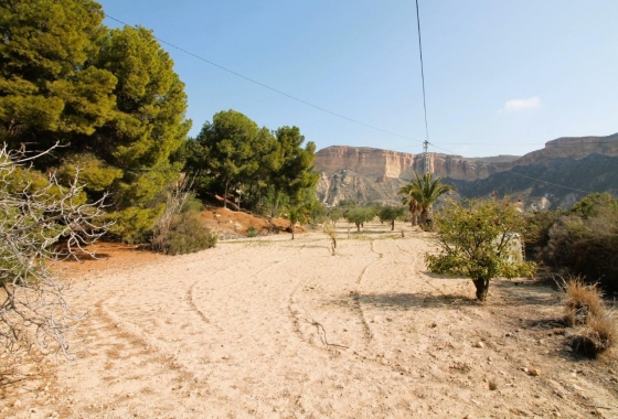 Resale - Country house - Crevillente