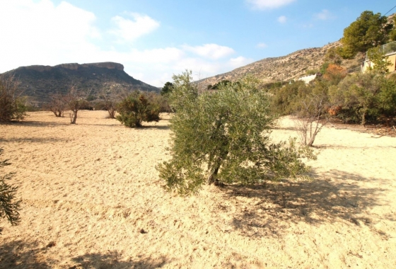 Resale - Country house - Crevillente