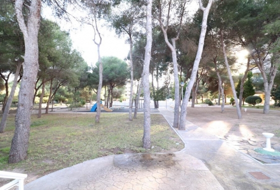 Resale - Apartment / flat - Alicante - Campoamor