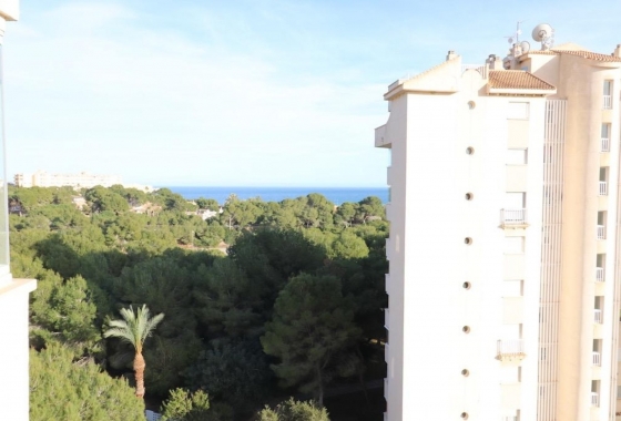 Resale - Apartment / flat - Alicante - Campoamor