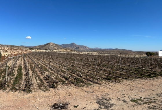 Reventa - Villa - Novelda