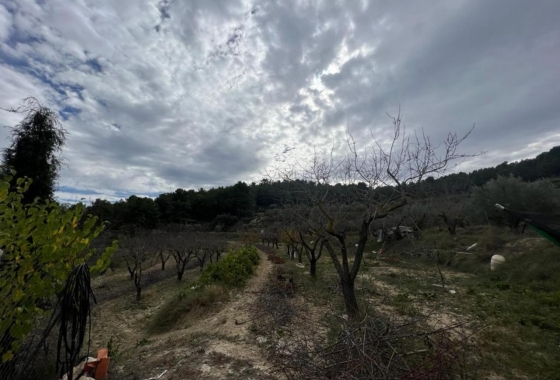 Resale - Villa - Ibi