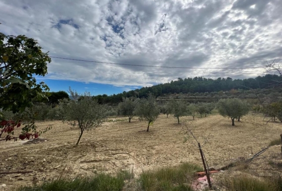 Resale - Villa - Ibi