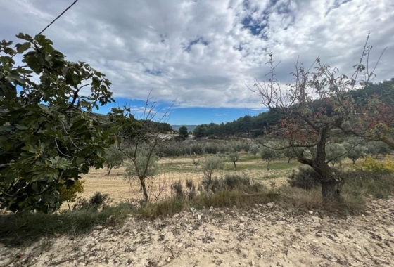 Resale - Villa - Ibi