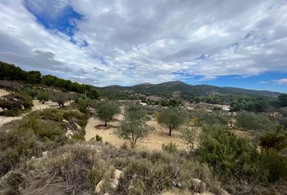 Resale - Villa - Ibi