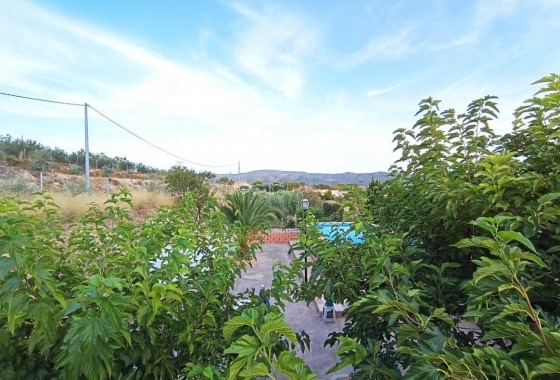 Rynek Wtórny - Willa - Ibi