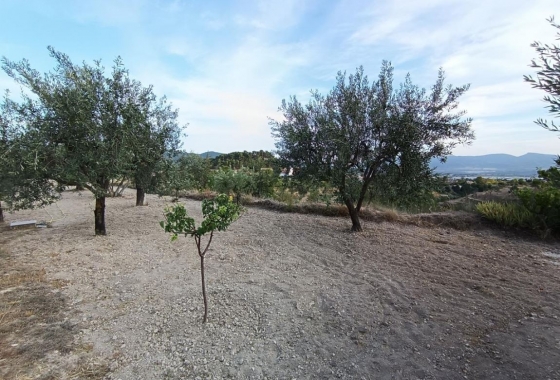 Rynek Wtórny - Willa - Ibi