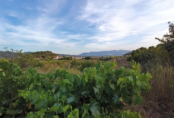 Rynek Wtórny - Willa - Ibi