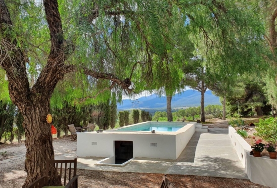 Rynek Wtórny - Willa - Castalla