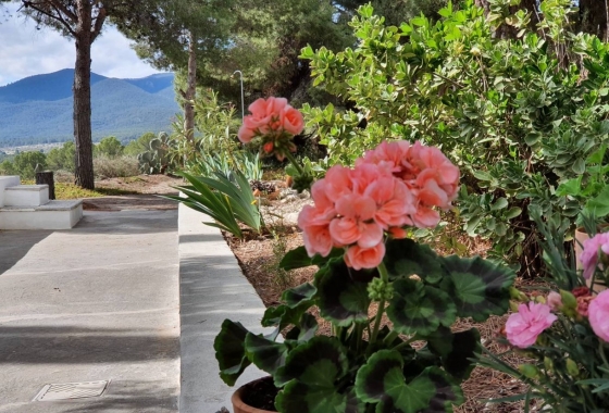 Rynek Wtórny - Willa - Castalla