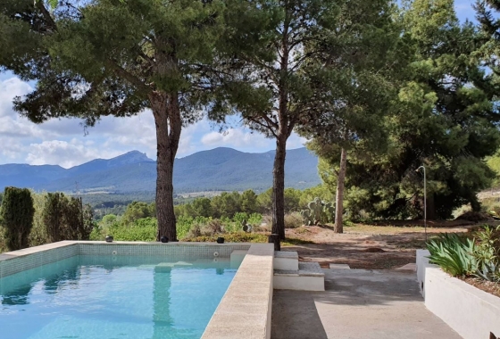 Rynek Wtórny - Willa - Castalla