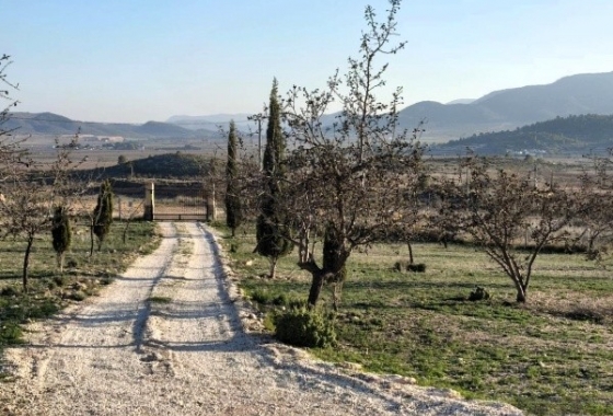 Resale - Villa - Alicante - Cañada Roja