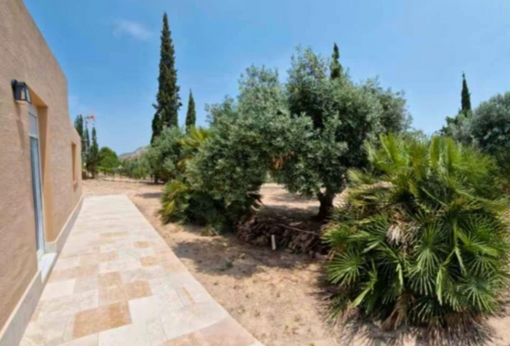 Rynek Wtórny - Dom - Novelda