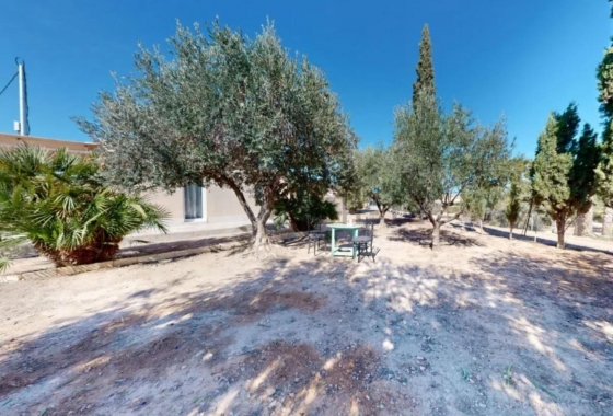 Rynek Wtórny - Dom - Novelda