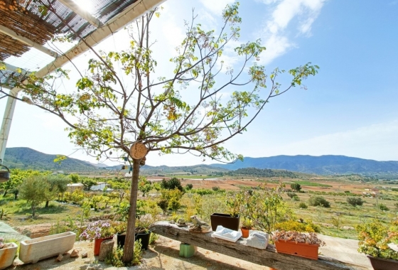 Resale - Country house - Hondón de las Nieves - Vinalopó Medio